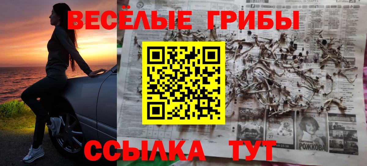 Галлюциногенные грибы прущие грибы Еманжелинск
