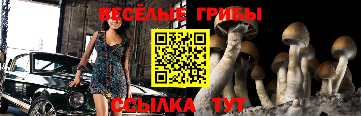 Псилоцибиновые грибы Cubensis  Псилоцибиновые грибы GOLDEN TEACHER  Вход с VPN  Еманжелинск 